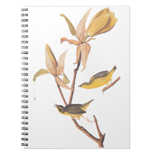Audubon's Kentucky Warbler Bird Pair with a Spider Notebook