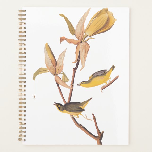 Audubon's Kentucky Warbler Bird Pair with a Spider Planner (Front)