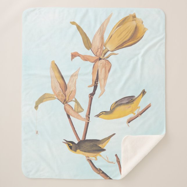 Audubon's Kentucky Warbler Bird Pair with a Spider Sherpa Blanket (Front)