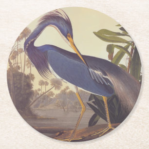 Audubon's Louisiana Heron or Tricolored Heron Round Paper Coaster