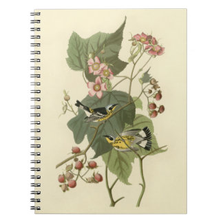 Audubon's Magnolia Warbler Spiral Notebook