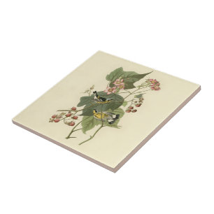 Audubon's Magnolia Warbler Tile