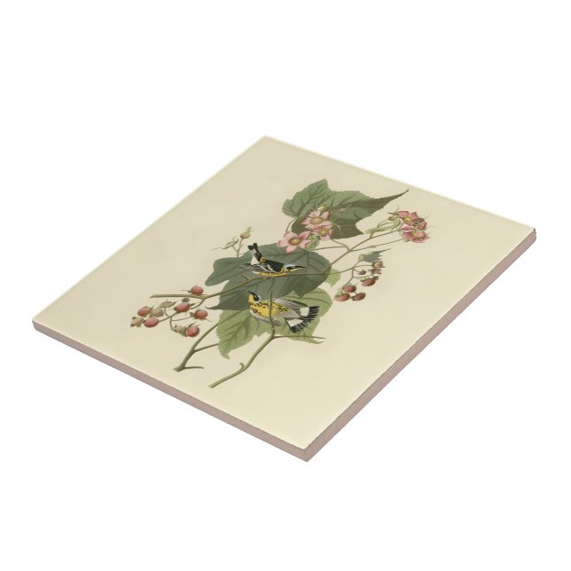 Audubon's Magnolia Warbler Tile (Side)