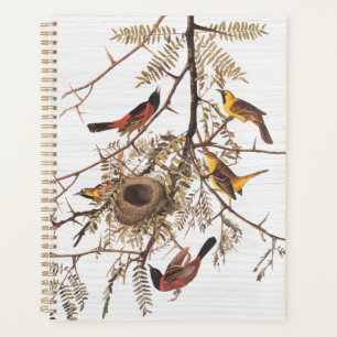 Audubon's Orchard Oriole in Honey Locust Planner
