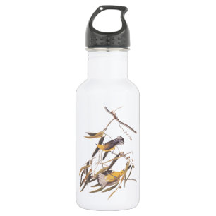 Audubon's Prothonotary Warbler Birds on Cane Vine 532 Ml Water Bottle