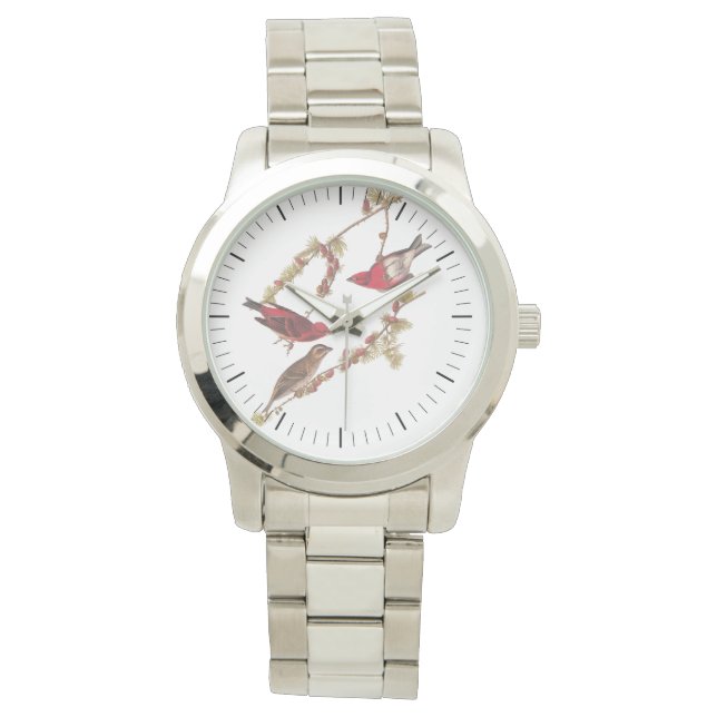 Audubon's Purple Finch Red Birds Vintage Art Watch (Front)