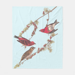 Audubon's Purple Finch Three Red Birds in Winter Fleece Blanket