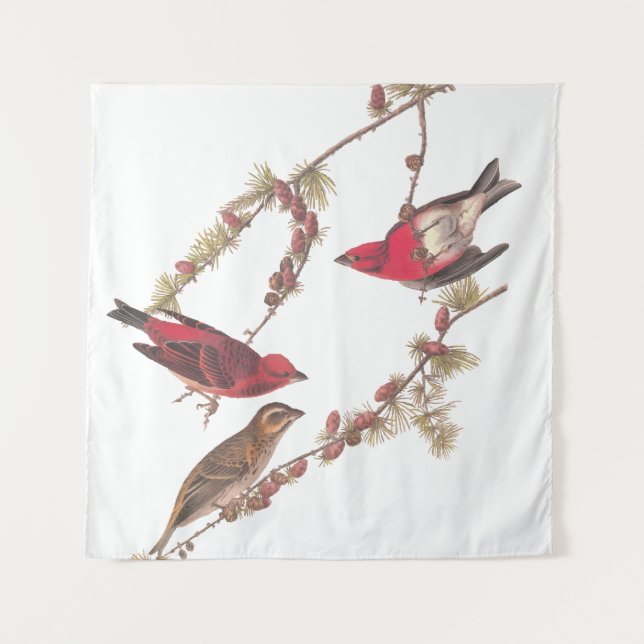 Audubon's Purple Finch Three Red Birds in Winter Tapestry (Front)