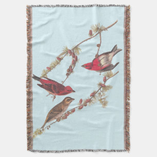 Audubon's Purple Finch Three Red Birds in Winter Throw Blanket
