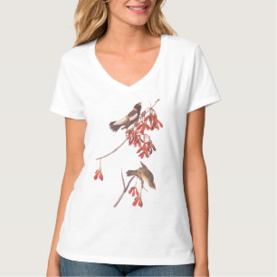Audubon's Rice Bunting Birds or Bobolink Birds T-Shirt