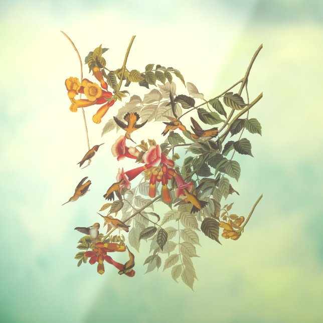 Audubon's Ruby Throated Hummingbirds and Flowers (Sheet 3)