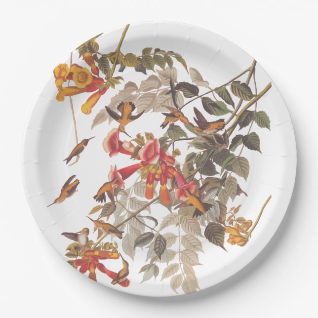 Audubon's Ruby Throated Hummingbirds and Flowers Paper Plate (Front)