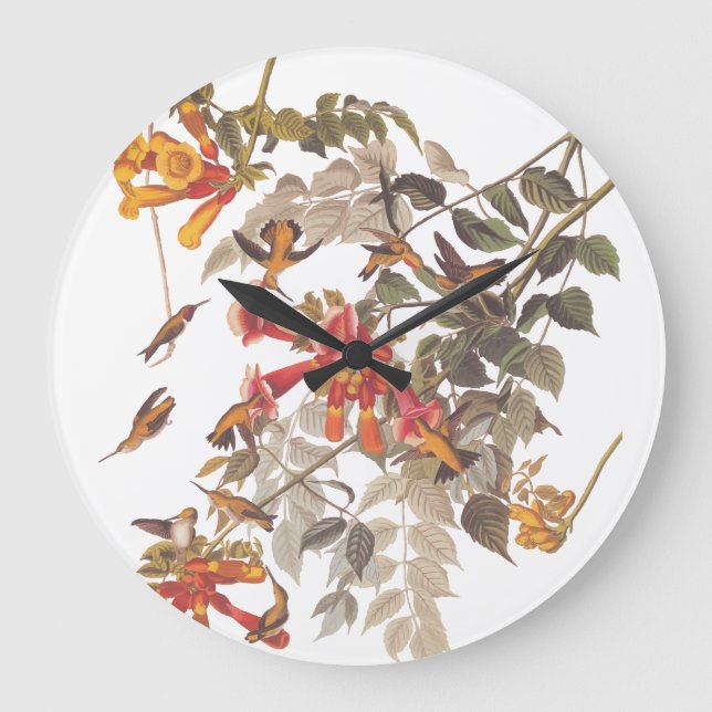 Audubon's Ruby Throated Hummingbirds with Flowers Large Clock (Front)
