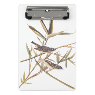 Audubon's Solitary Vireo Flycatcher Birds on Cane Mini Clipboard