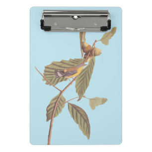 Audubon's Swainson's Warbler on Oak Branch Mini Clipboard