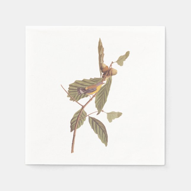 Audubon's Swainson's Warbler on Oak Branch Napkin (Front)
