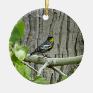 Audubon's Warbler Nature Photography Ceramic Tree Decoration