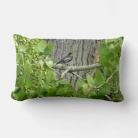 Audubon's Warbler Nature Photography