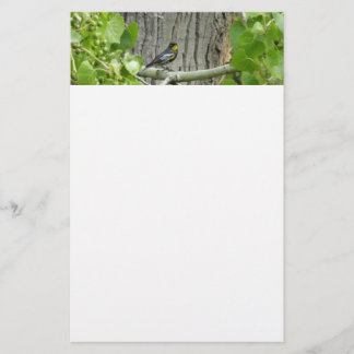 Audubon's Warbler Nature Photography Stationery