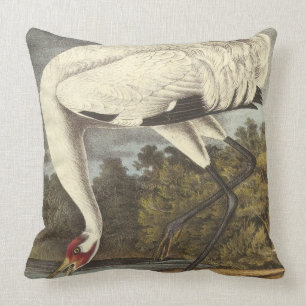 Audubon's Whooping Crane Cushion