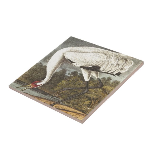 Audubon's Whooping Crane Tile (Side)
