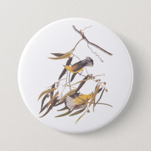 Audubon's Yellow Prothonotary Warbler Bird Pair 7.5 Cm Round Badge
