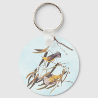 Audubon's Yellow Prothonotary Warbler Bird Pair Bu