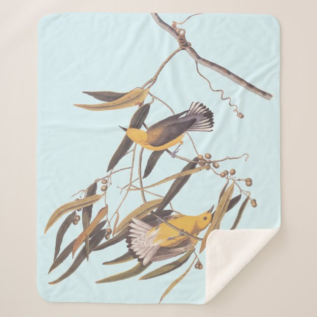 Audubon's Yellow Prothonotary Warbler Bird Sherpa Blanket (Front)