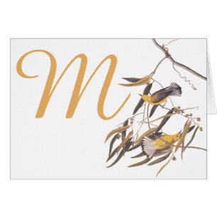Audubon's Yellow Prothonotary Warbler Birds