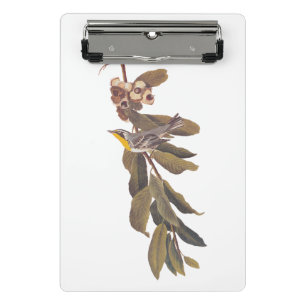 Audubon's Yellowthroat Warbler Bird on Tree Branch Mini Clipboard