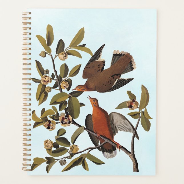 Audubon's Zenaida Dove Birds on Tree Branch Planner (Front)