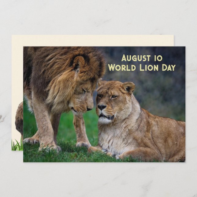 Aug 10, World Lion Day 5 x 7 card (Front/Back)