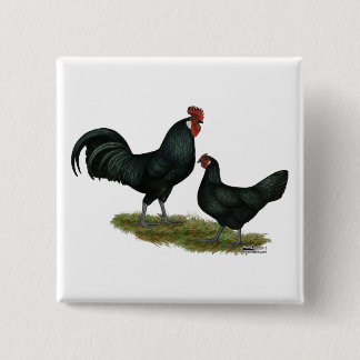 Augsburger Chickens 15 Cm Square Badge