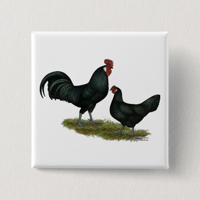 Augsburger Chickens 15 Cm Square Badge (Front)