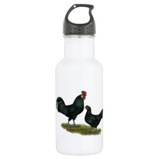 Augsburger Chickens 532 Ml Water Bottle
