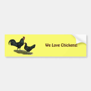 Augsburger Chickens Bumper Sticker