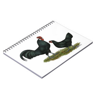 Augsburger Chickens Notebook