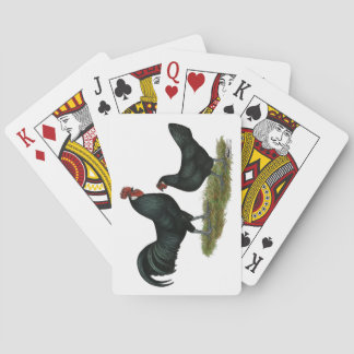Augsburger Chickens Playing Cards