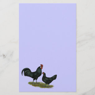 Augsburger Chickens Stationery