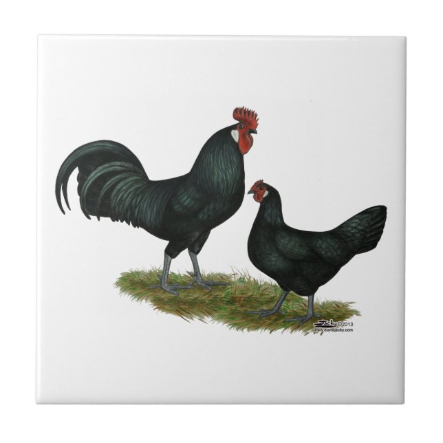 Augsburger Chickens Tile (Front)