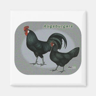 Augsburger Fowl Magnet