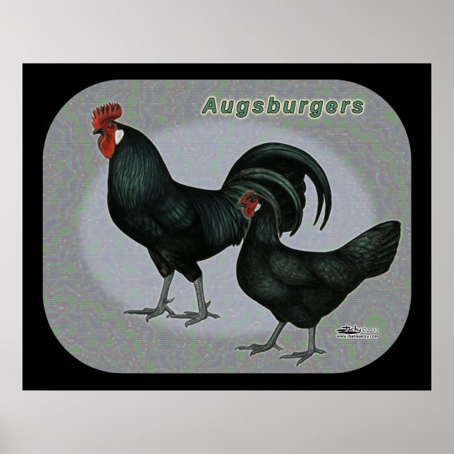 Augsburger Fowl Poster (Front)