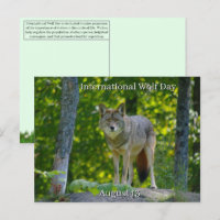 August 13 - International Wolf Day