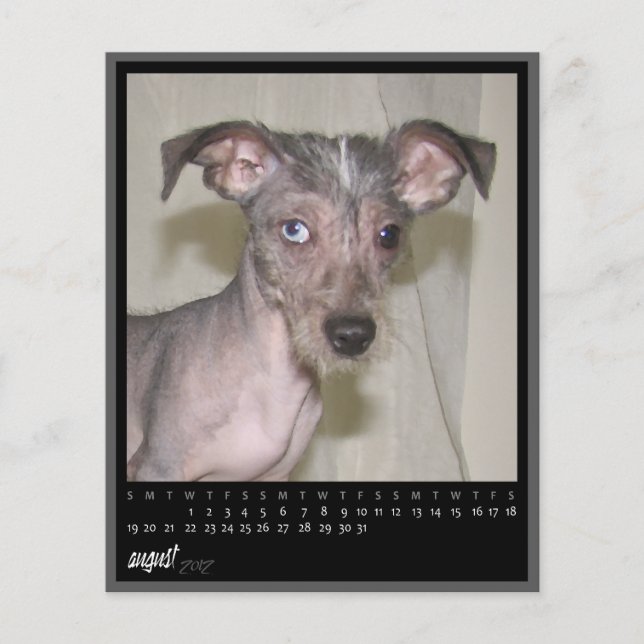 august 2012 calendar (Front)