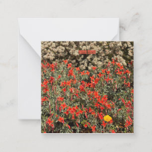 August Ablaze Card