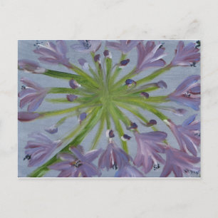 August Agapanthus Postcard