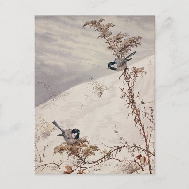 August | Fidelia Bridges Postcard (Front)