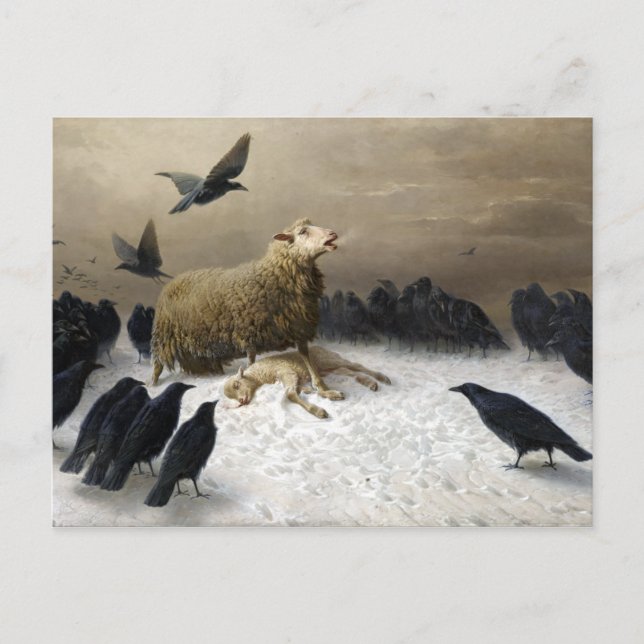 August Friedrich Albrecht Schenck Anguish Postcard (Front)