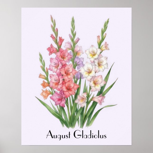 August Gladiolus Flowers Poster (Front)