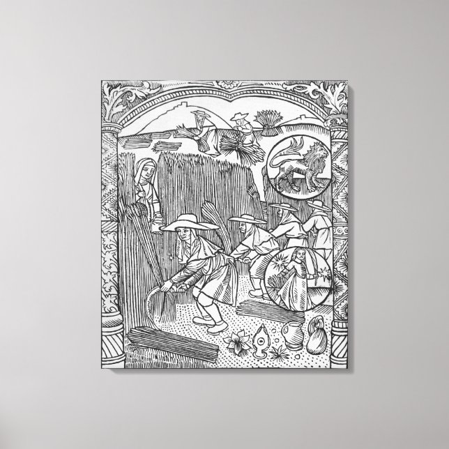 August, harvesting, Leo Canvas Print (Front)